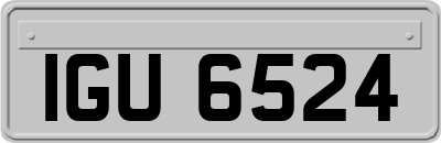 IGU6524