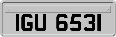 IGU6531