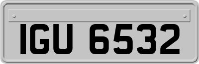 IGU6532