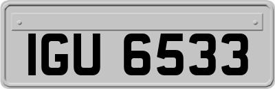 IGU6533