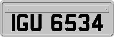IGU6534