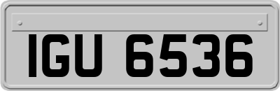 IGU6536
