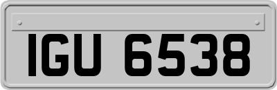 IGU6538