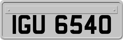 IGU6540