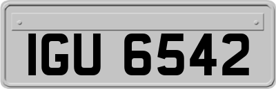 IGU6542