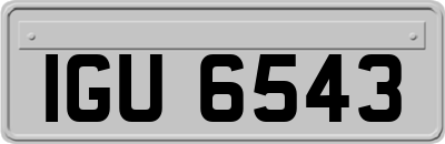 IGU6543