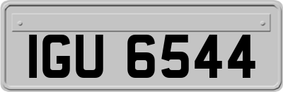 IGU6544