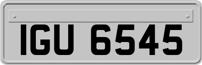 IGU6545