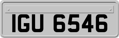 IGU6546