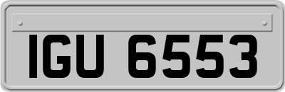 IGU6553