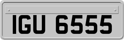 IGU6555