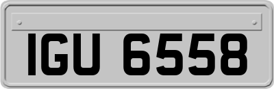 IGU6558