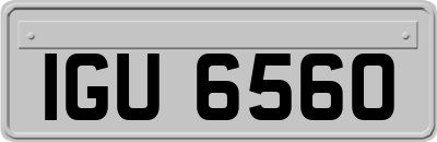 IGU6560