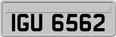 IGU6562