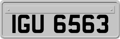 IGU6563