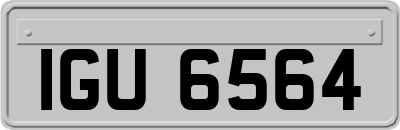 IGU6564