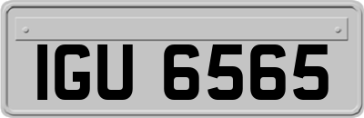 IGU6565