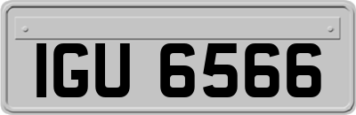 IGU6566