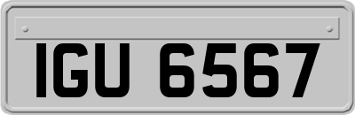 IGU6567