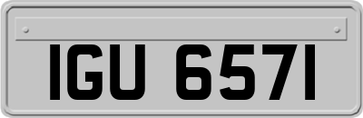 IGU6571