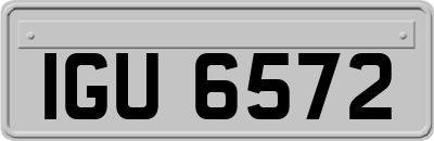 IGU6572