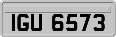 IGU6573