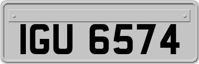 IGU6574