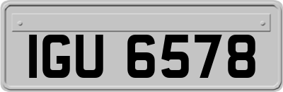 IGU6578
