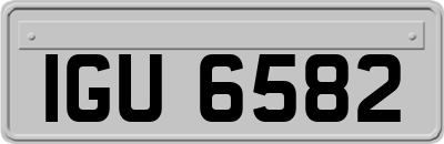 IGU6582