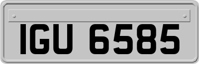 IGU6585