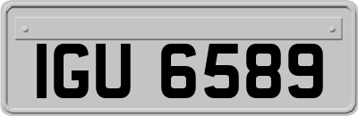 IGU6589