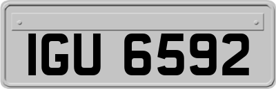 IGU6592