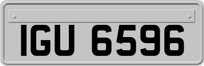 IGU6596