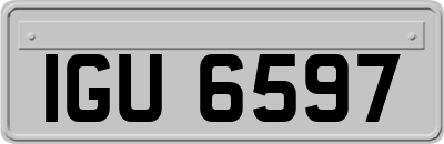 IGU6597
