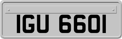 IGU6601