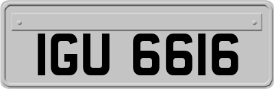 IGU6616