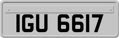 IGU6617