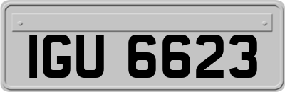 IGU6623