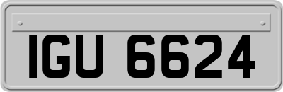 IGU6624
