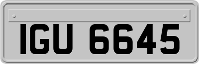 IGU6645