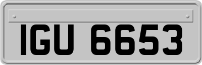 IGU6653