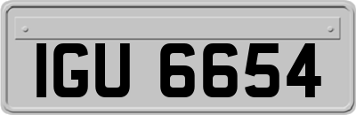 IGU6654