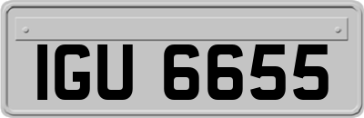 IGU6655