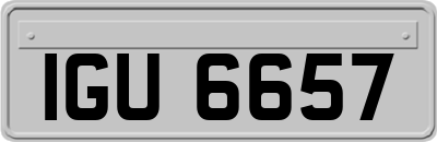 IGU6657