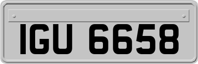 IGU6658