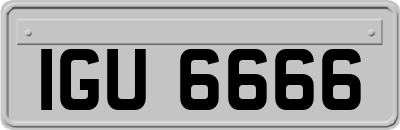IGU6666