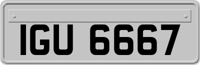 IGU6667