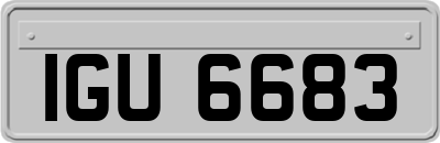 IGU6683