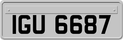 IGU6687