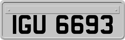 IGU6693